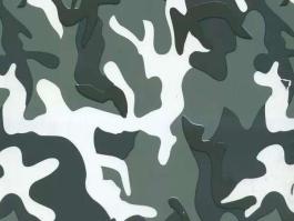 CMD2939 Camouflage Hydro graphics Film