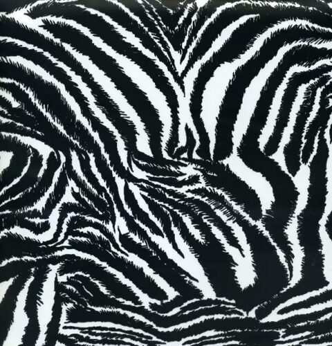 Zebra Print Water Transfer Film